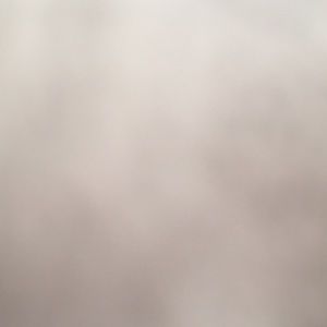 Meet your Posher, Evelyn